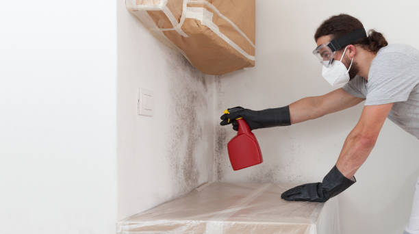 Professional Crawl Space Mold Removal technician working in Hillside, IL