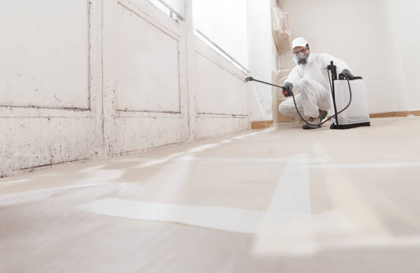 24/7 Emergency Crawl Space Mold Removal experts in Hillside, IL